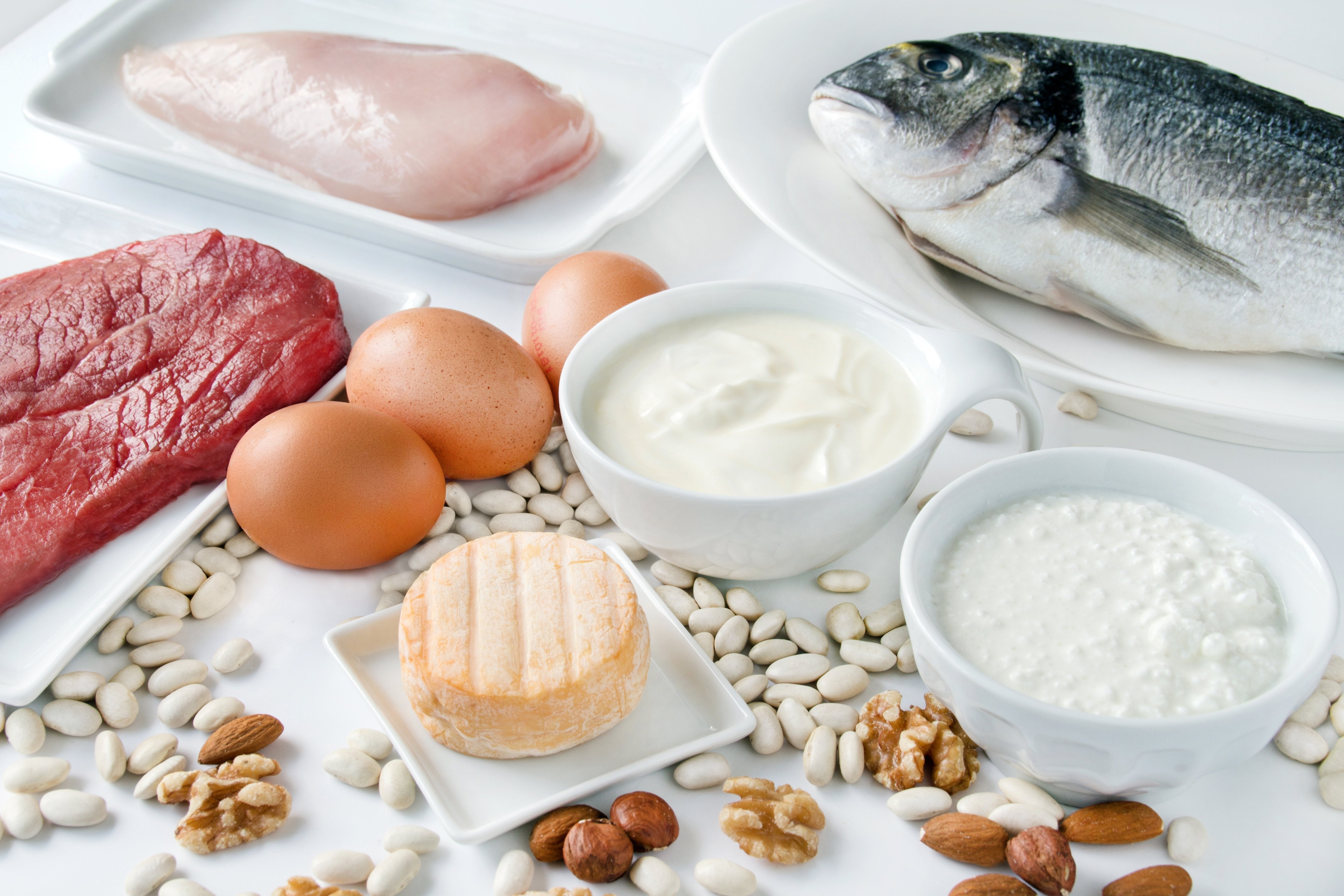  Proteine – Alles über proteinreiche Lebensmittel, pflanzliches Eiweiß, und Proteinpulver 