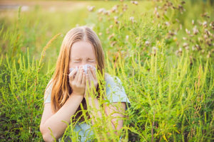Ambrosia-Allergie: Mehr und stärkere Pollenallergie durch den Klimawandel?