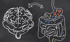 Darm-Hirn-Achse – oder wie ein kranker Darm unsere Psyche beeinflusst