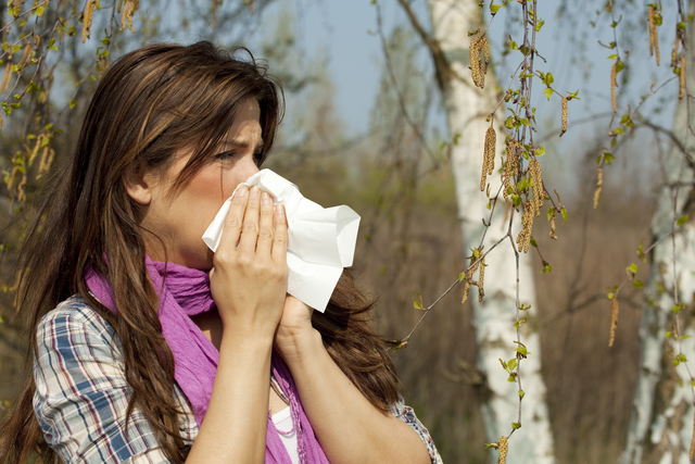 Birkenpollenallergie: Symptome, Diagnose und Tipps