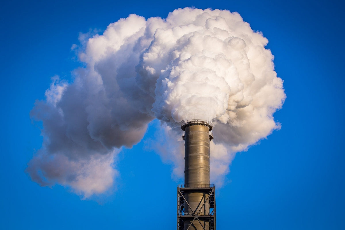 Schwermetallbelastung durch Emissionen