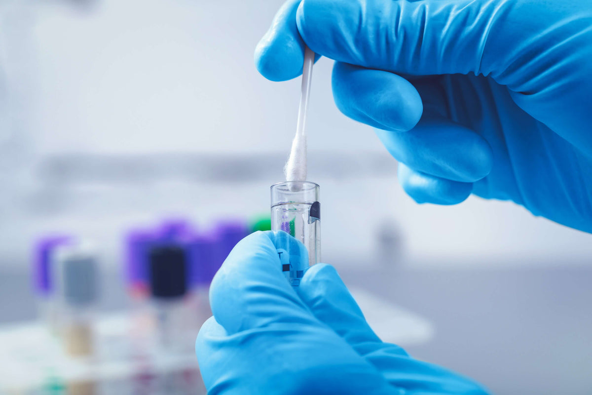 Stoffwechselanalyse - DNA der Speichelprobe wird im Labor analysiert